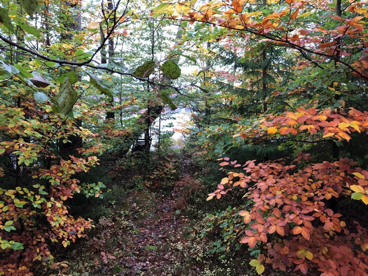 Naturskönt boende vid Sjö Skånes Fagerhult Exteriör bild