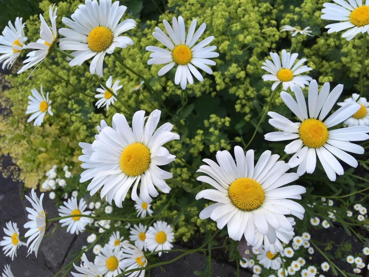 Naturskönt boende vid Sjö Skånes Fagerhult Exteriör bild